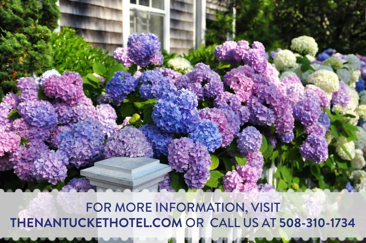 The Nantucket Hotel & Resort المظهر الخارجي الصورة